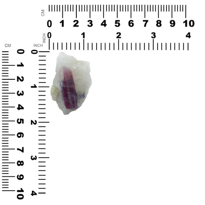 Starborn Rubellite in Quartz Collector's Corner Specimen 216.9 cts- 1 Piece – RP - Regular Price