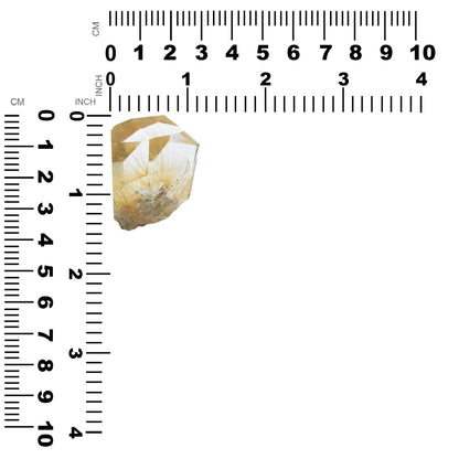 Starborn Rutilated Quartz Collector's Specimen 151.4cts - 1 Piece – RP - Regular Price