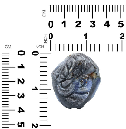 Starborn Hand Carved Sapphire Dragon 180.6 cts - 1 piece – RP - Regular Price