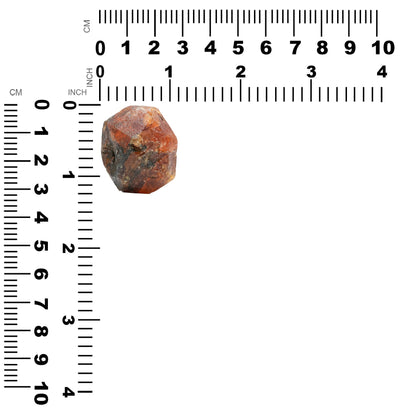 Starborn Spessartite Garnet Specimen 45.4 grams - 1 piece – RP - Regular Price