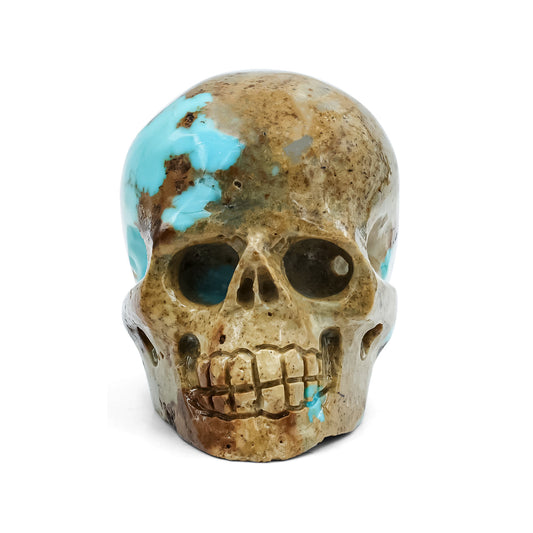 Hand Carved New Arizona Turquoise Skull Carving 172.5 cts - 1 Piece – RP - Regular Price
