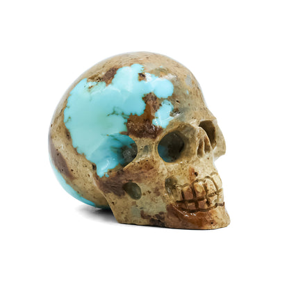 Hand Carved New Arizona Turquoise Skull Carving 172.5 cts - 1 Piece – RP - Regular Price