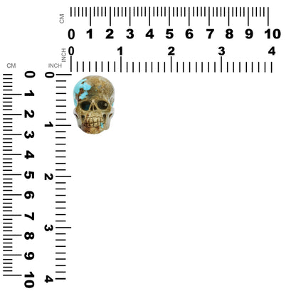 Hand Carved New Arizona Turquoise Skull Carving 172.5 cts - 1 Piece – RP - Regular Price