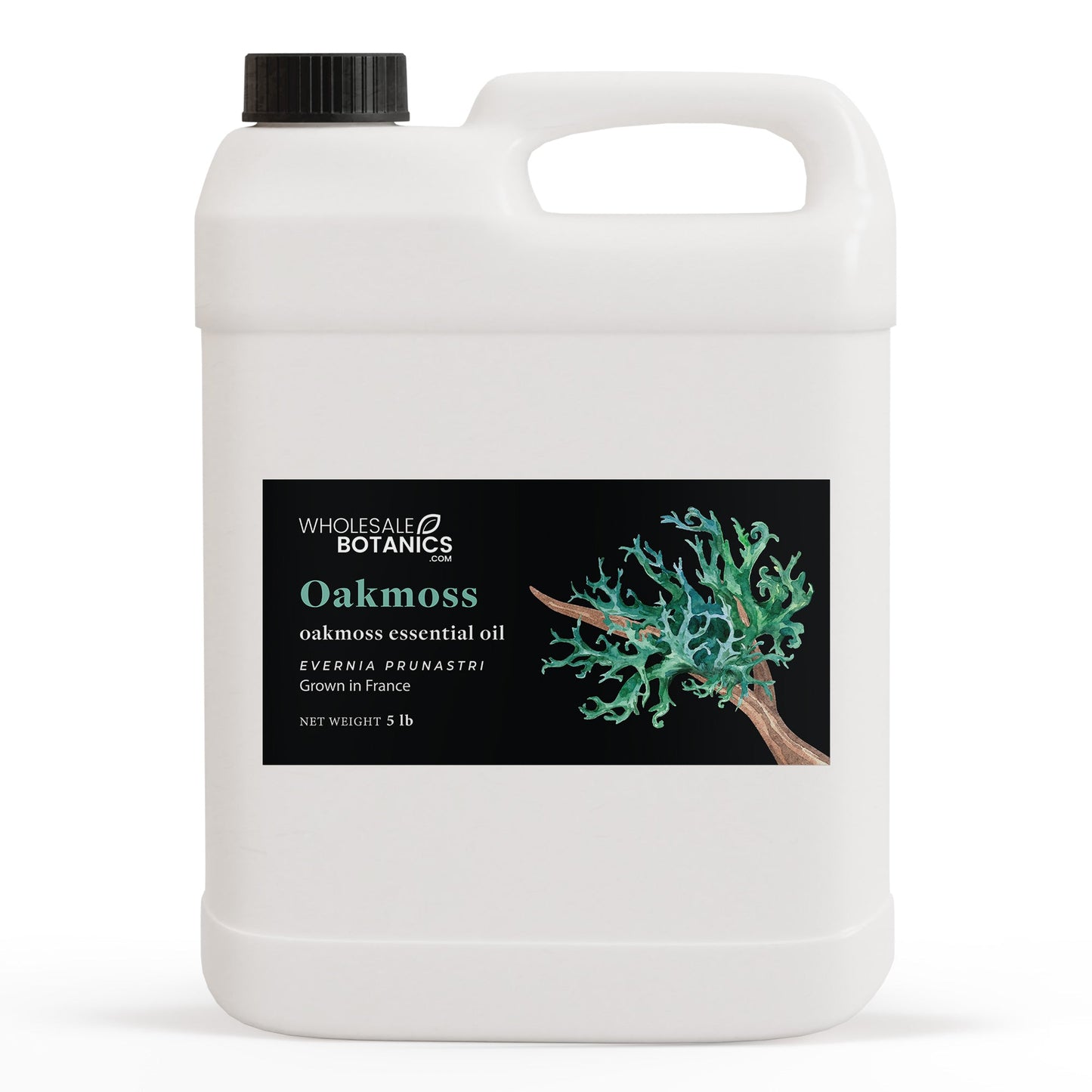 Oakmoss Essential Oil – 5 lbs Essential_Oil