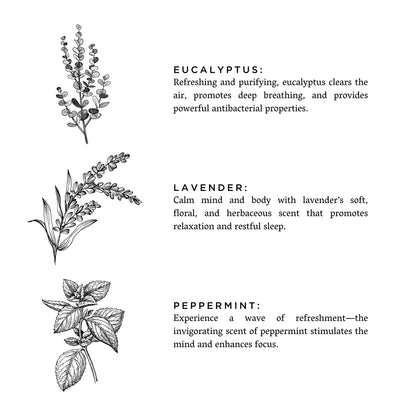 Of The Sea - (Eucalyptus + Lavender + Peppermint)