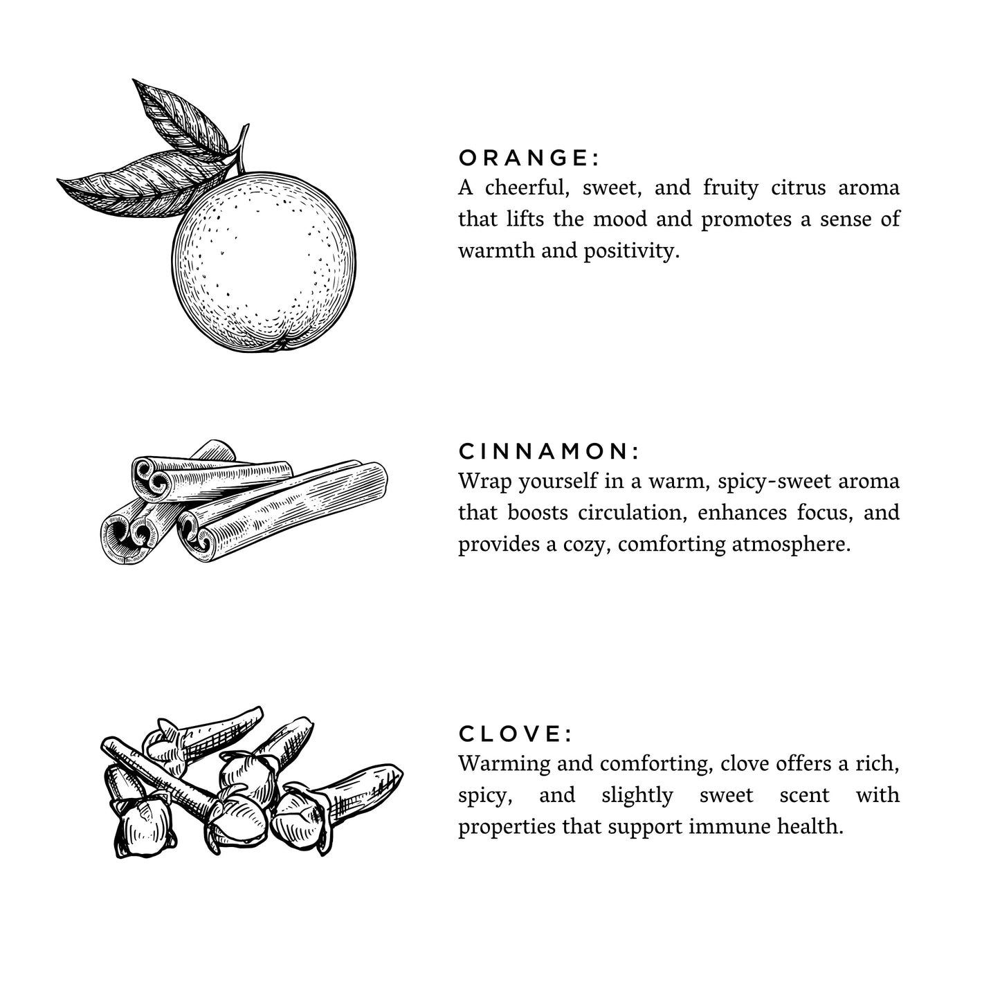 Orange + Clove – Frosted Candles