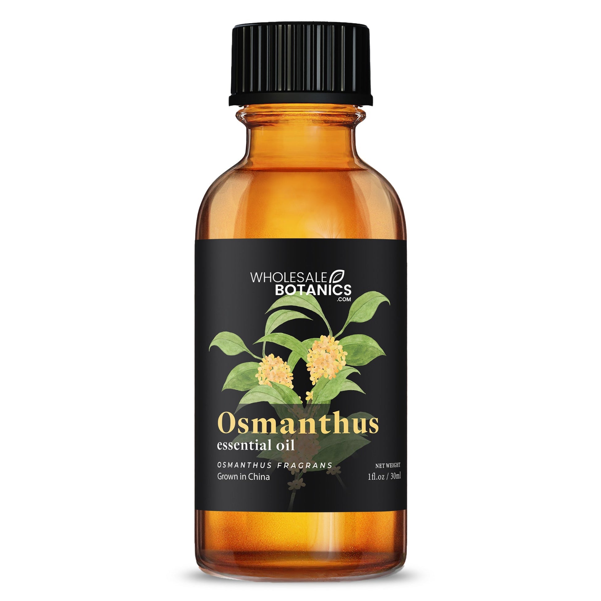 Osmanthus Essential Oil – 1 oz Essential_Oil