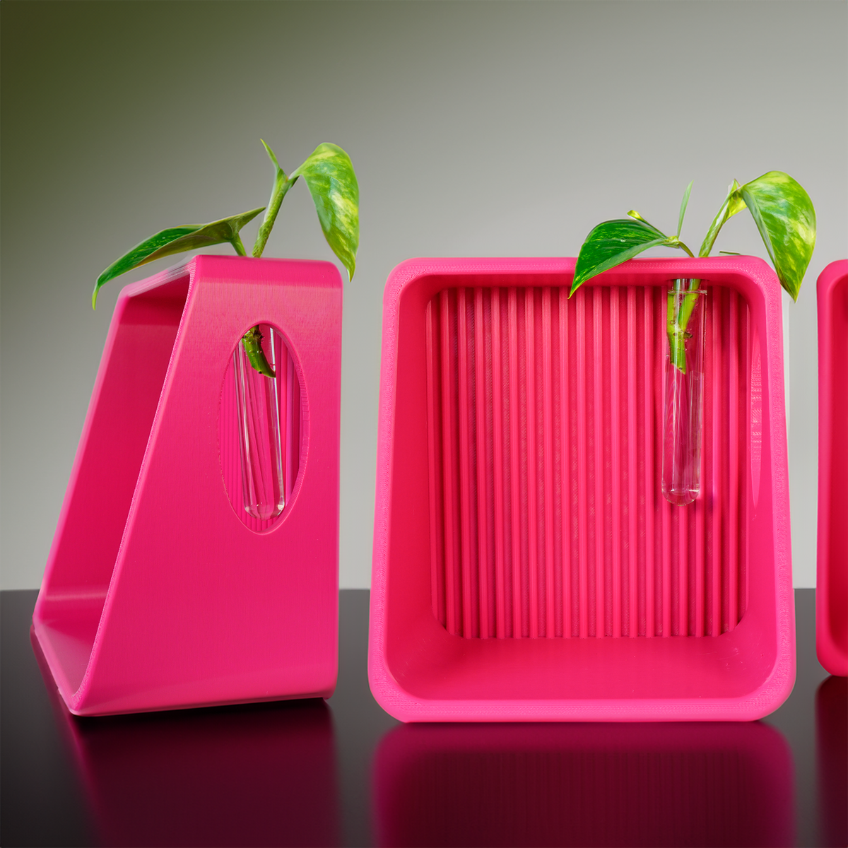 3D Printed Wall Shelf with Glass Tube for Plant Propagation