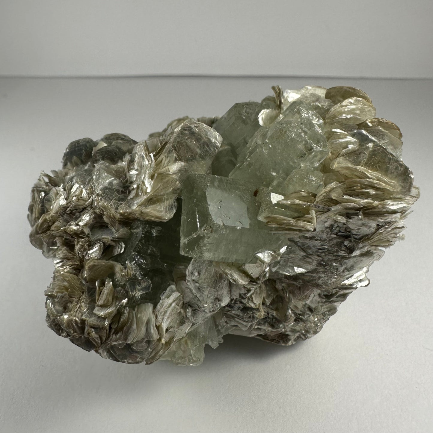 Aquamarine with Muscovite and Albite from Shigar Valley, Skardu, Pakistan – Minerals