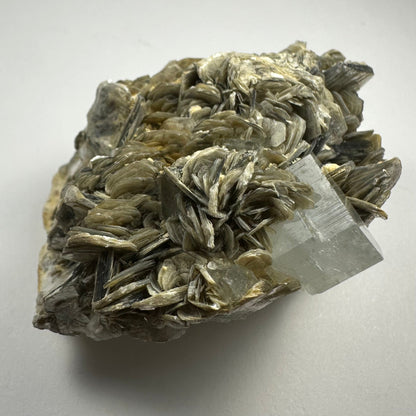 Aquamarine with Muscovite on Matrix from Shigar Valley, Skradu, Pakistan
