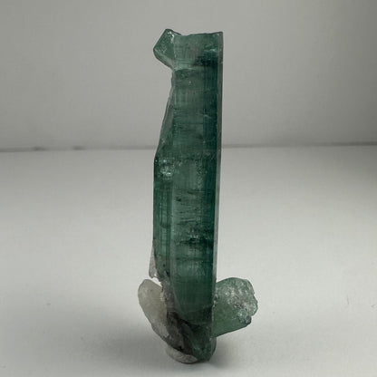 Indicolite Tourmaline with Rubellite from Africa