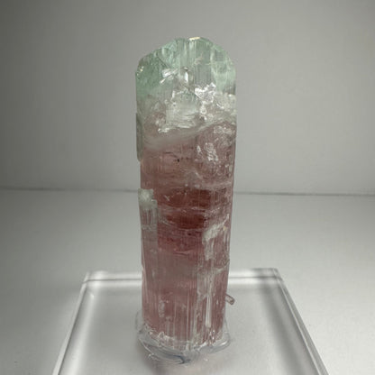 Watermelon Tourmaline