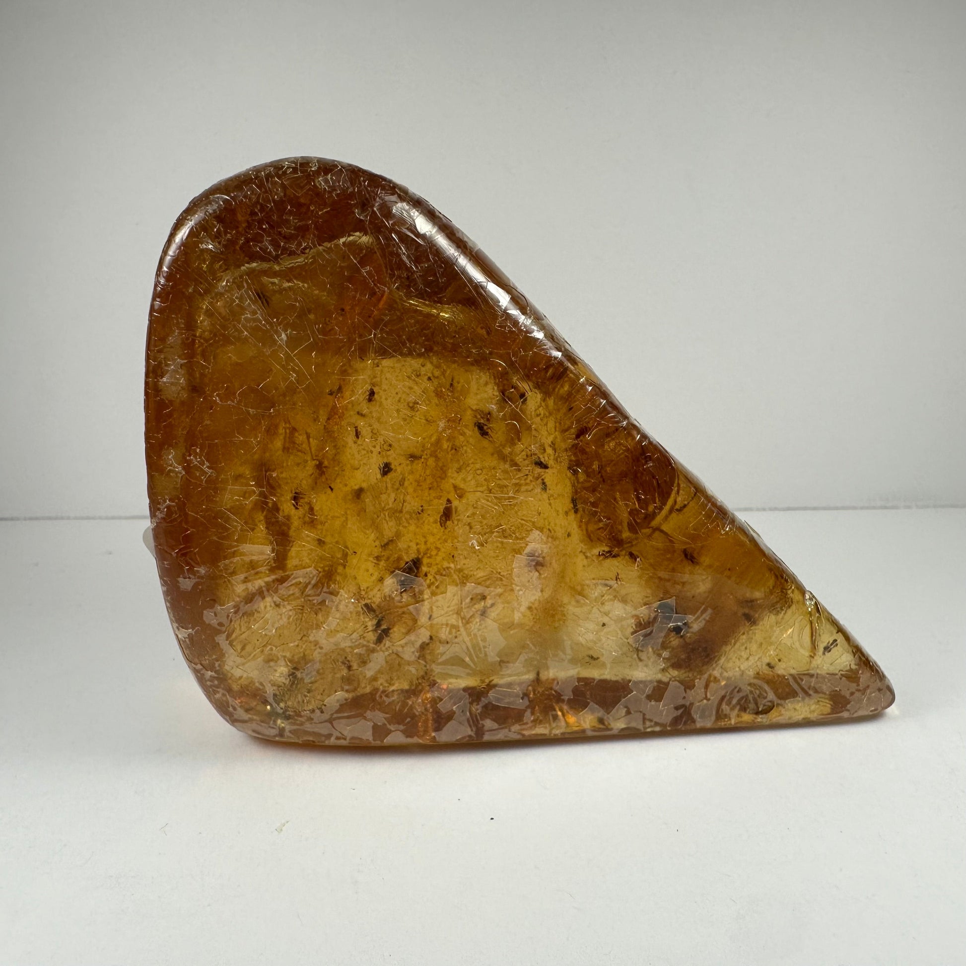 Colombian Amber with Insects – Minerals