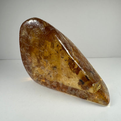 Colombian Amber with Insects – Minerals
