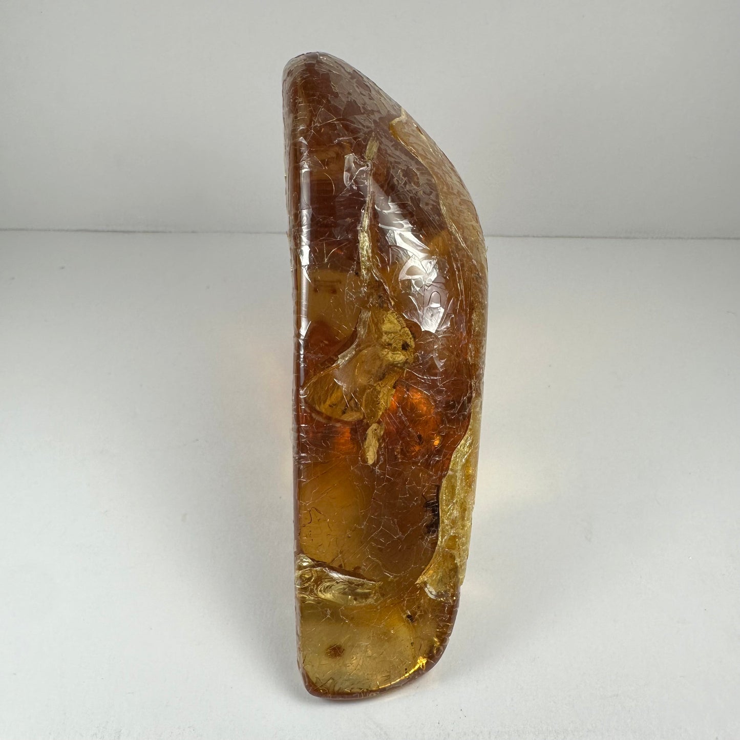 Colombian Amber with Insects – Minerals