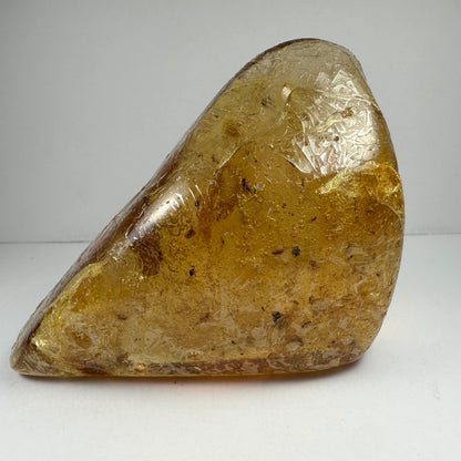 Colombian Amber with Insects – Minerals