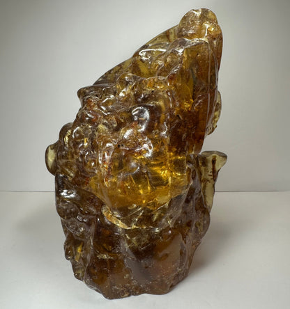 Colombian Amber Termite Hill