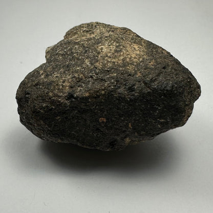 Chondrites Meteorite South Sahara Desert, Morocco