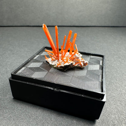 Crocoite on Matrix Adelaide Mine, Dundas, Tasmania, Australia – Minerals