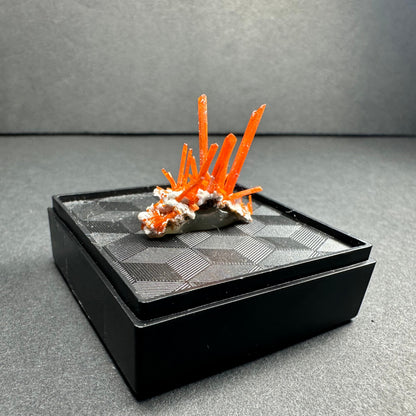 Crocoite on Matrix Adelaide Mine, Dundas, Tasmania, Australia – Minerals