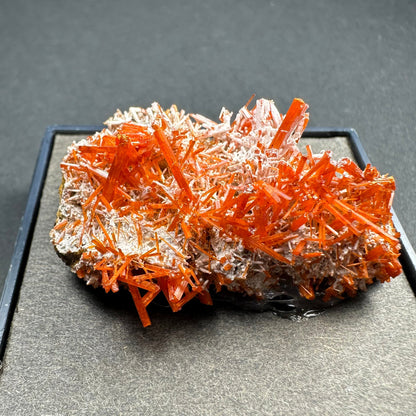 Crocoite on Matrix Adelaide Mine, Dundas, Tasmania, Australia