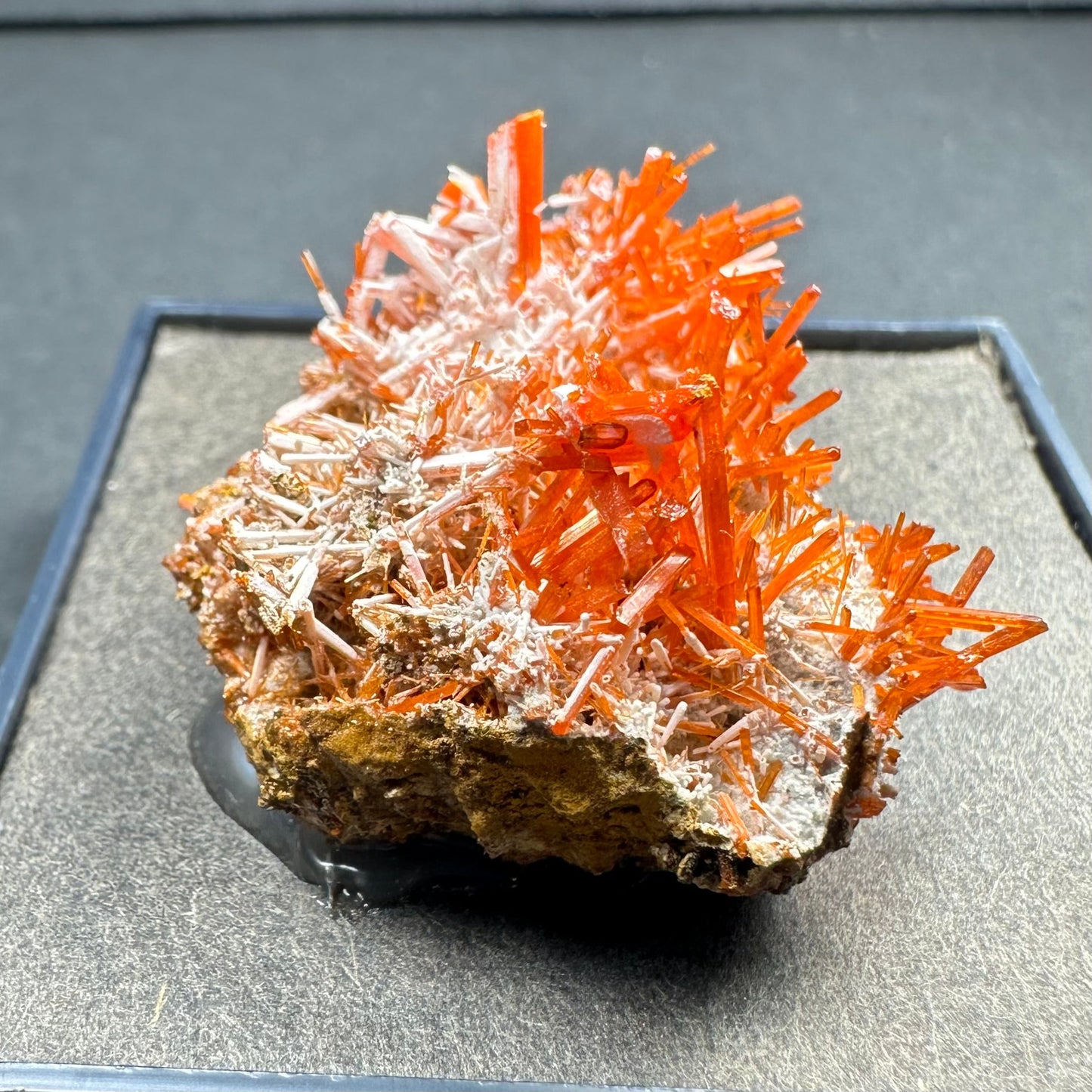 Crocoite on Matrix Adelaide Mine, Dundas, Tasmania, Australia
