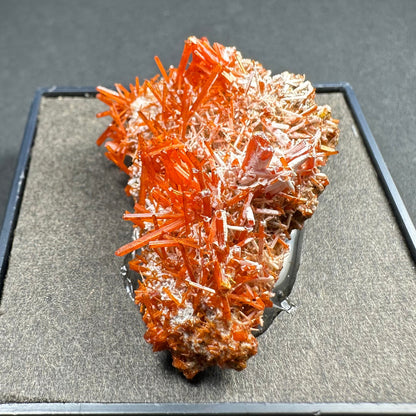 Crocoite on Matrix Adelaide Mine, Dundas, Tasmania, Australia