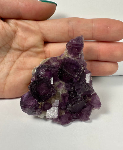 Purple Cubic Fluorite on matrix