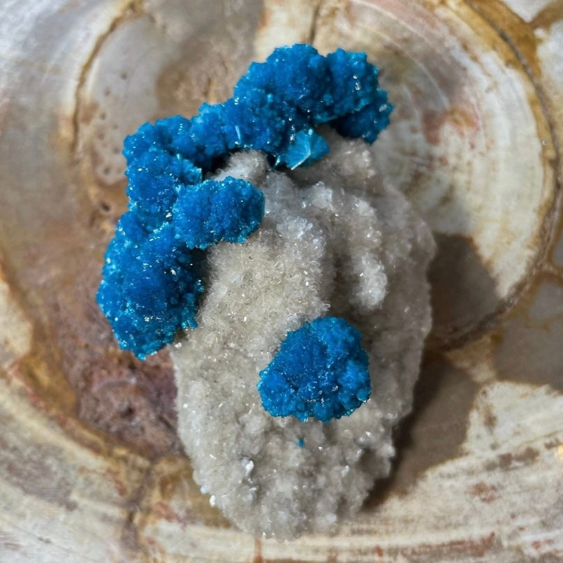 Cavansite with White Stilbite on Matrix Maharashtra, Pune, India