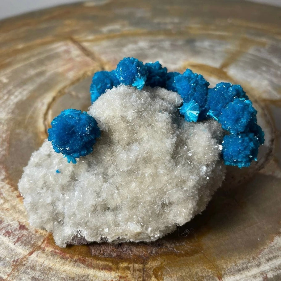Cavansite with White Stilbite on Matrix Maharashtra, Pune, India