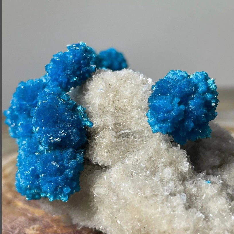 Cavansite with White Stilbite on Matrix Maharashtra, Pune, India