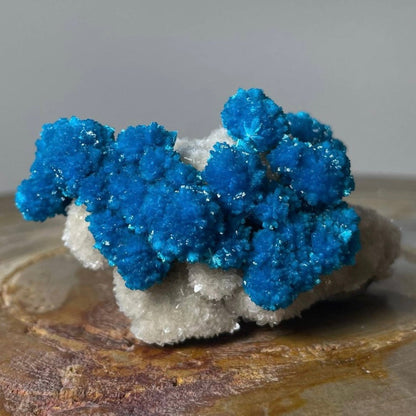 Cavansite with White Stilbite on Matrix Maharashtra, Pune, India