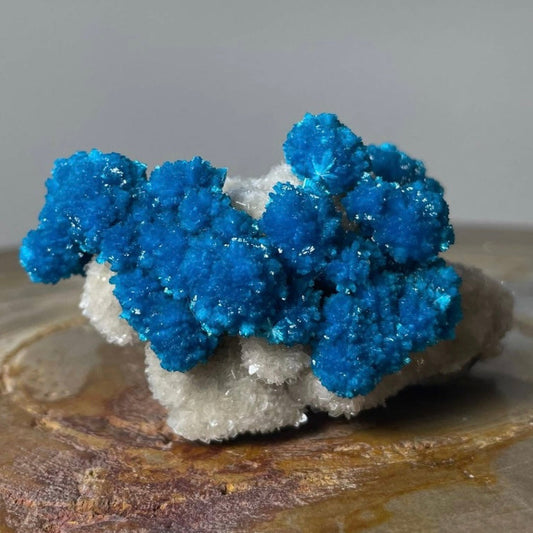 Cavansite with White Stilbite on Matrix Maharashtra, Pune, India