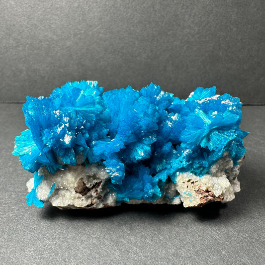 Cavansite on Matrix from Pune, Maharashtra, India – Minerals