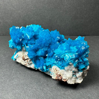 Cavansite on Matrix from Pune, Maharashtra, India – Minerals