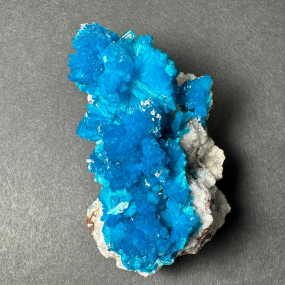 Cavansite on Matrix from Pune, Maharashtra, India – Minerals