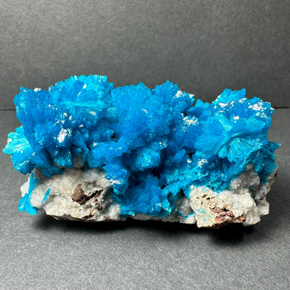 Cavansite on Matrix from Pune, Maharashtra, India – Minerals