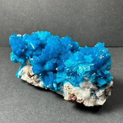 Cavansite on Matrix from Pune, Maharashtra, India – Minerals