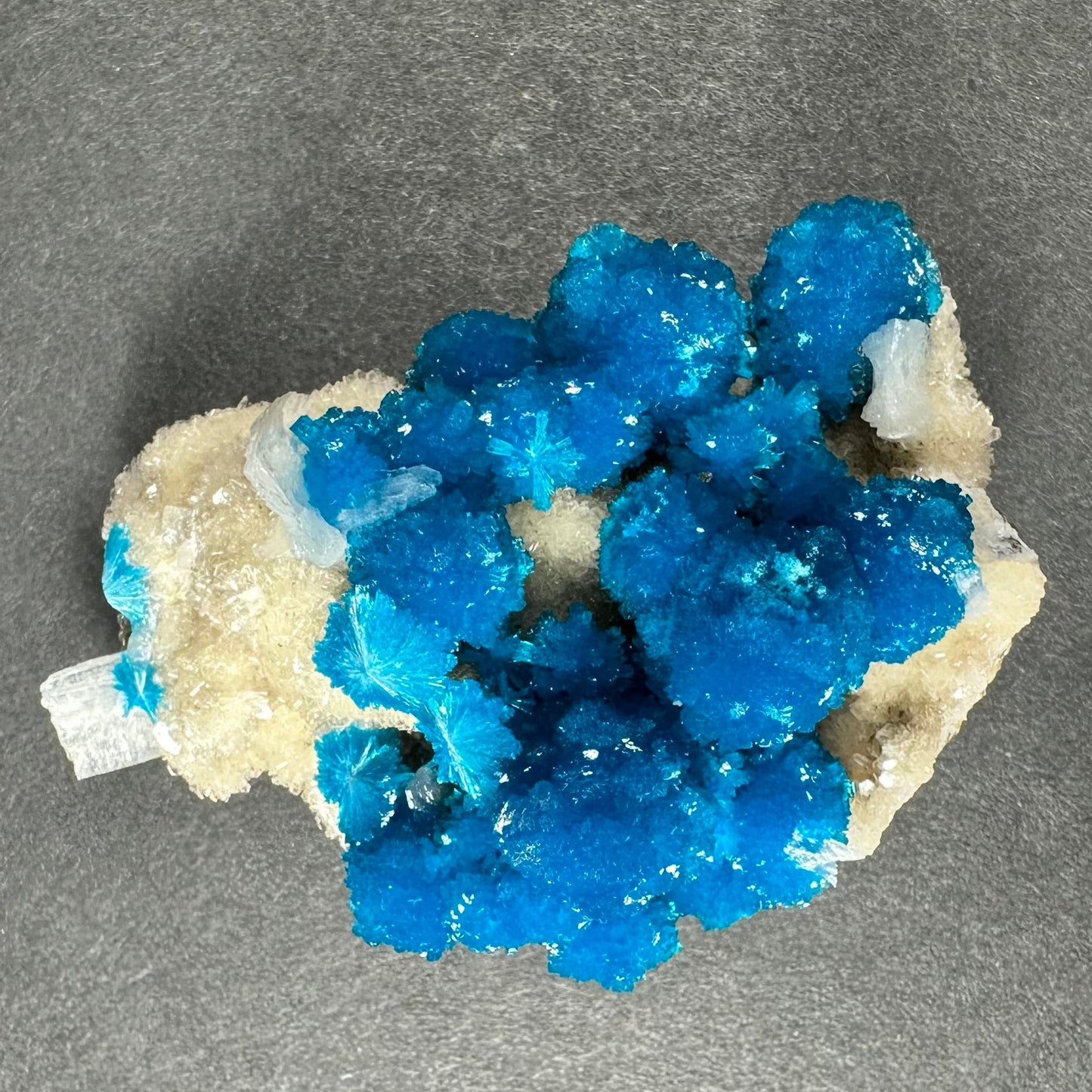 Cavansite with White Stilbite on Matrix from Maharashtra, Pune, India – Minerals