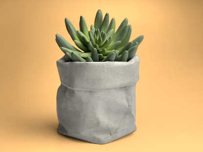 Paper Bag Succulent Planter Pot – Planter
