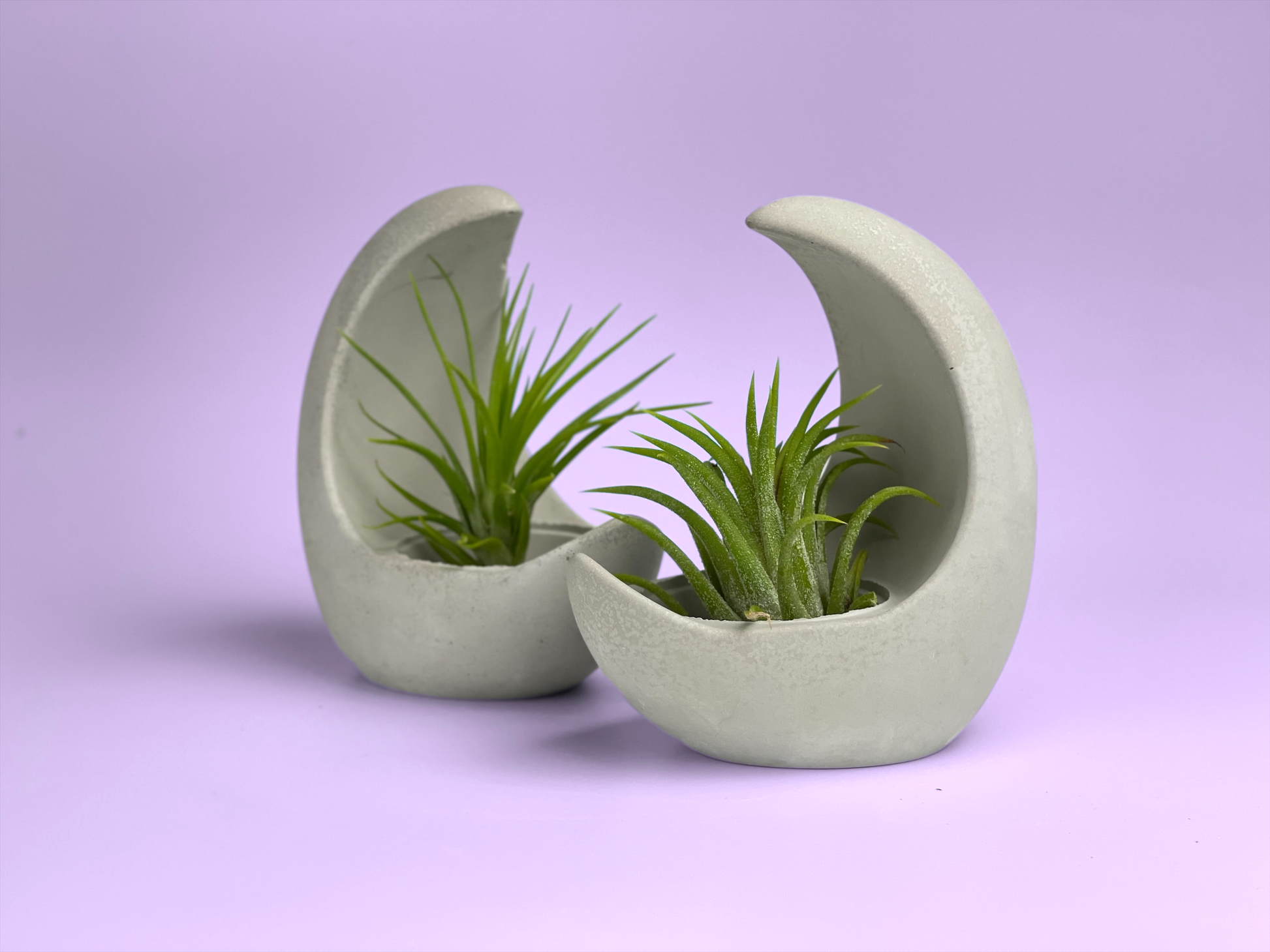 YOUNG MOON AIR PLANT HOLDER – Planter