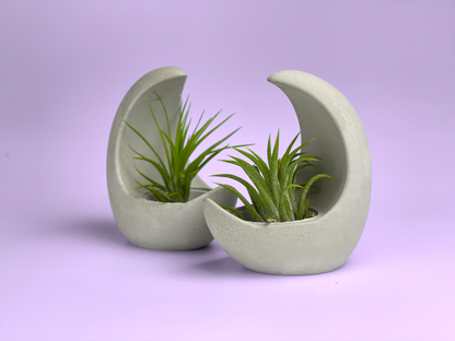 YOUNG MOON AIR PLANT HOLDER – Planter