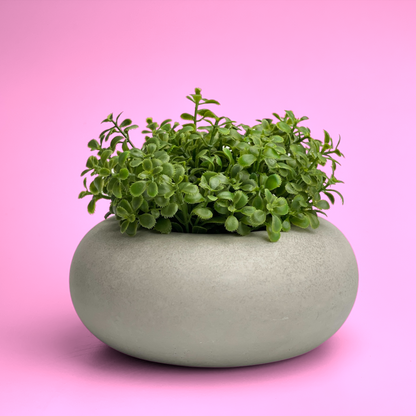Perfect Succulent Planter – Planter