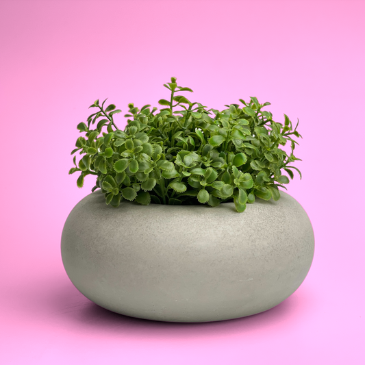 Perfect Succulent Planter – Planter