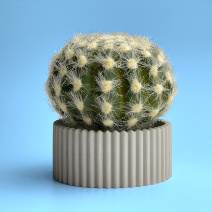 Scandinavian Air Plant Holder | Succulent Planter – Planter