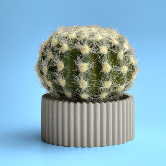 Scandinavian Air Plant Holder | Succulent Planter – Planter