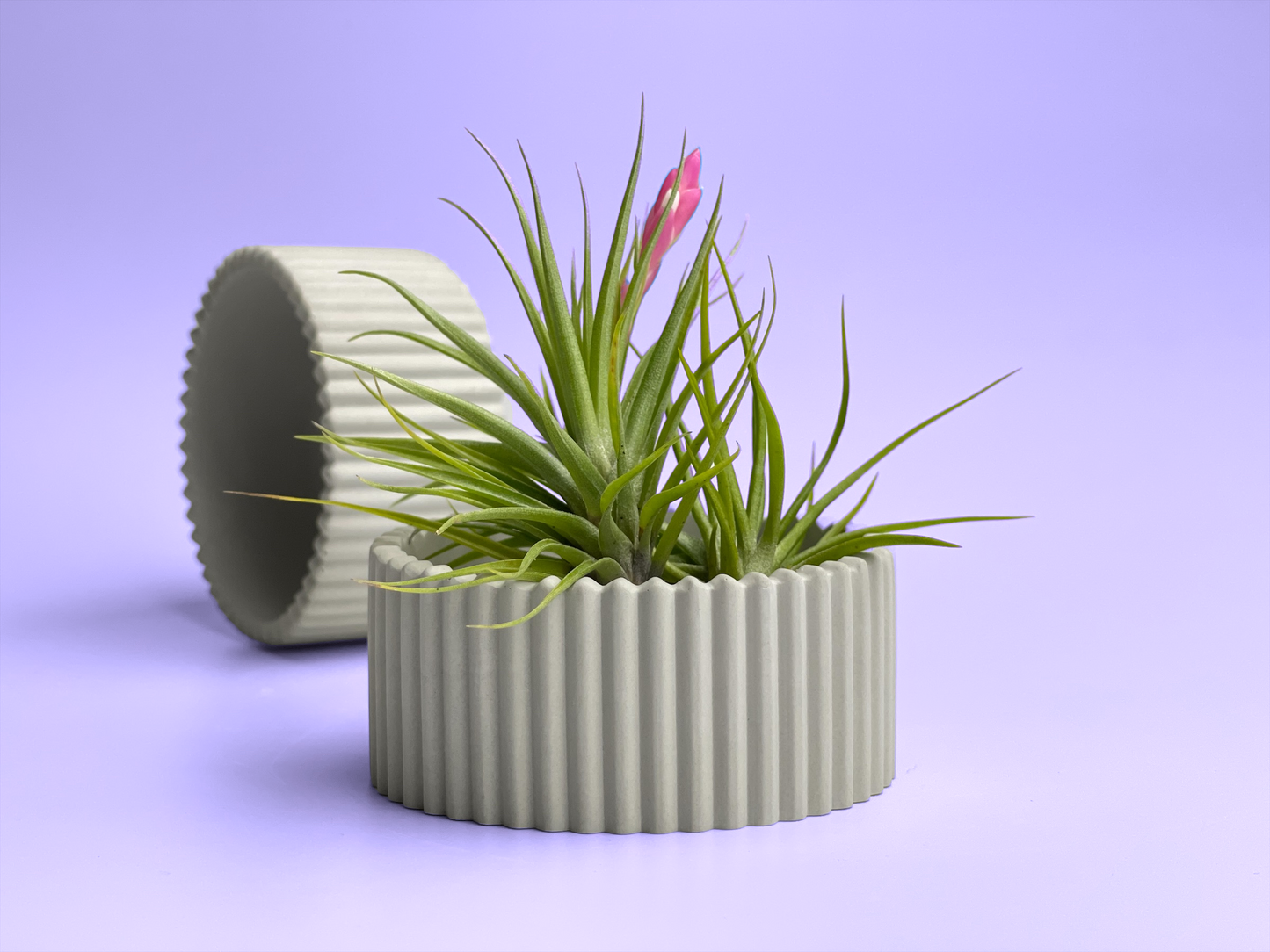 Scandinavian Air Plant Holder | Succulent Planter – Planter