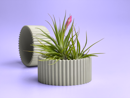 Scandinavian Air Plant Holder | Succulent Planter – Planter