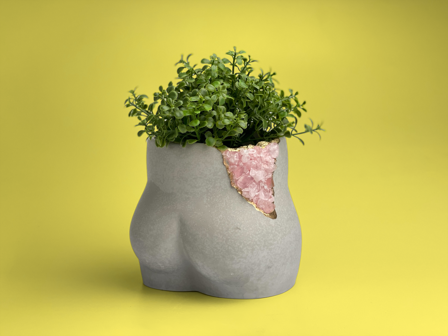 Rose Quartz Butt Planter – Planter