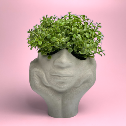 Face Succulent Planter on Two Hands – Planter